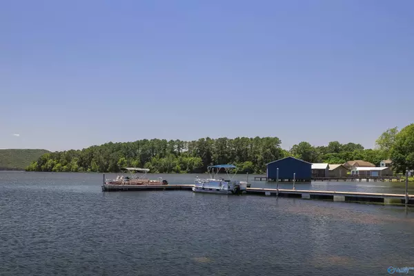 Langston, AL 35755,10174 County Road 67