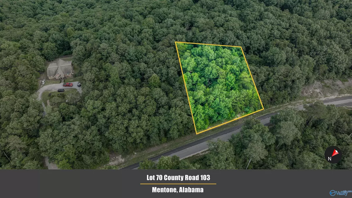 Mentone, AL 35984,Lot 70 County Road 103