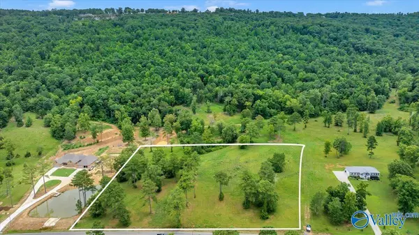 Langston, AL 35755,7468 County Road 67