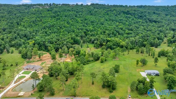 Langston, AL 35755,7468 County Road 67