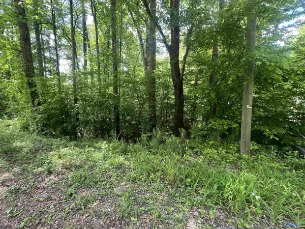 Oneonta, AL 35121,194 Lot Sheffield Drive