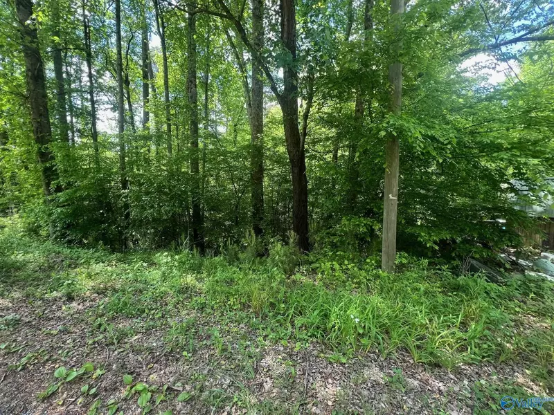 194 Lot Sheffield Drive, Oneonta, AL 35121