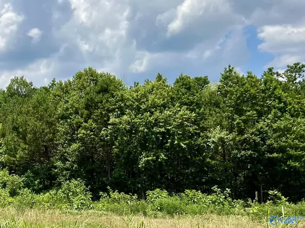 2 ACRES Gray Road, Mentone, AL 35984