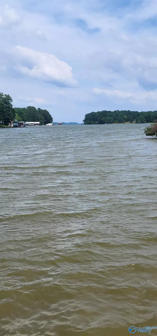 Leesburg, AL 35983,lot 9 County Road 146