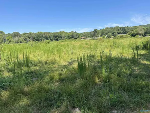 Gaylesville, AL 35973,13 Acres County Road 107