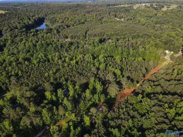 Fort Payne, AL 35967,30 acres County Road 261