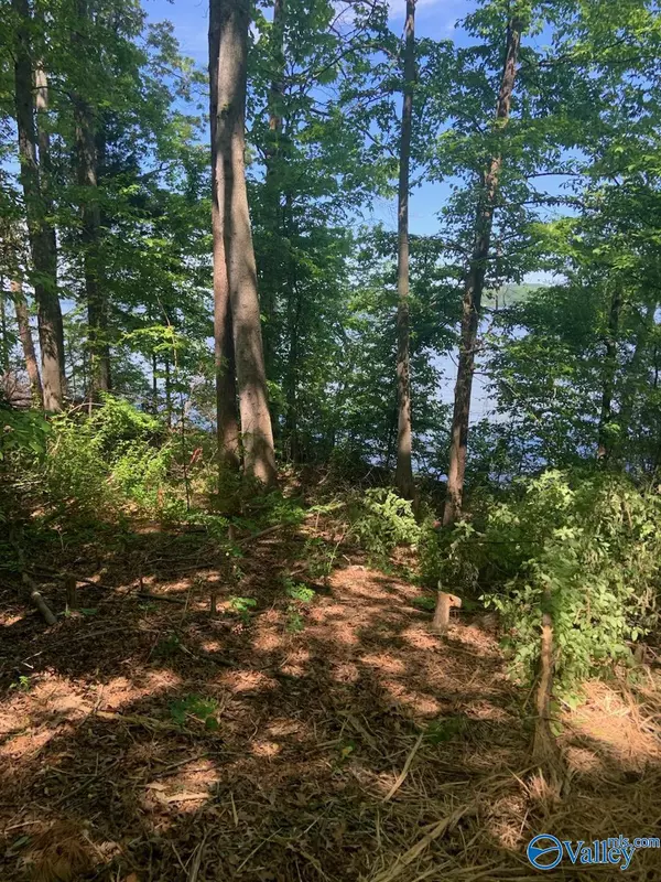 Cherokee, AL 35616,Lot 53 Spyglass Loop