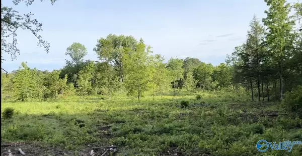 Moulton, AL 35650,Lot #7 County Road 59