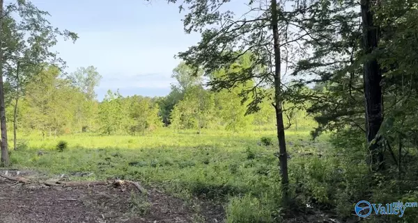 Moulton, AL 35650,Lot #7 County Road 59