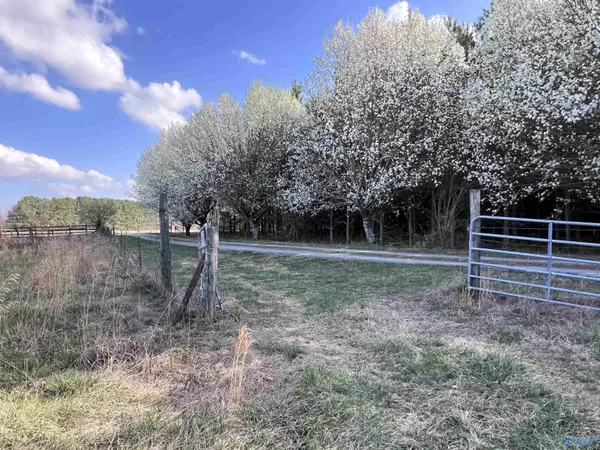 Section, AL 35771,64 Acres County Road 463