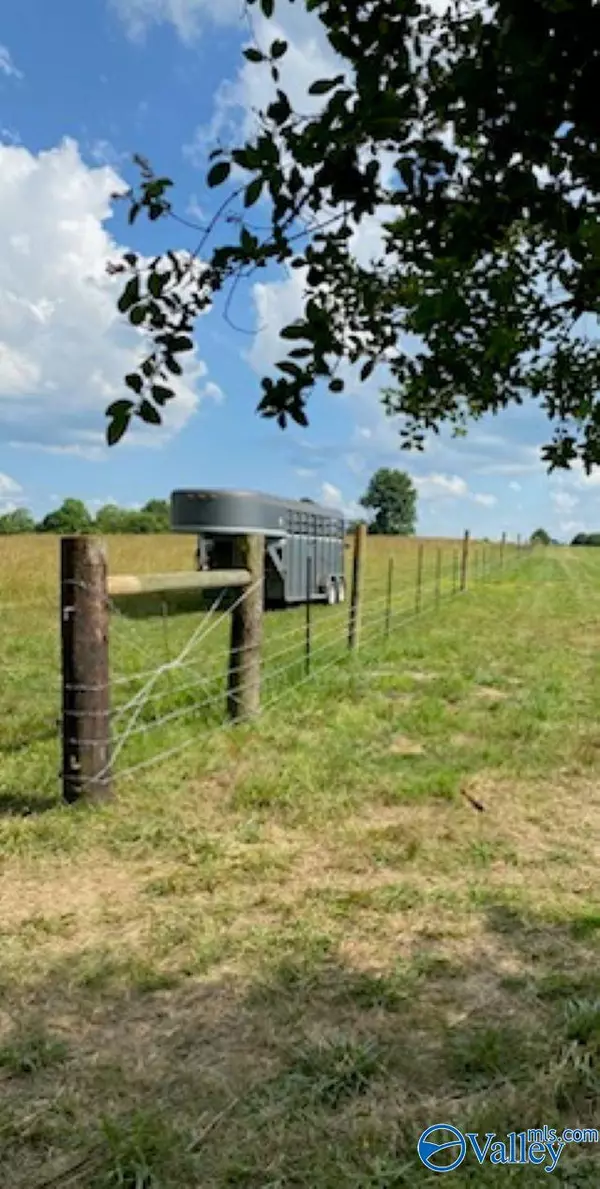 Section, AL 35771,64 Acres County Road 463