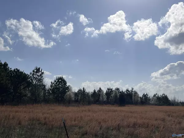 Section, AL 35771,64 Acres County Road 463