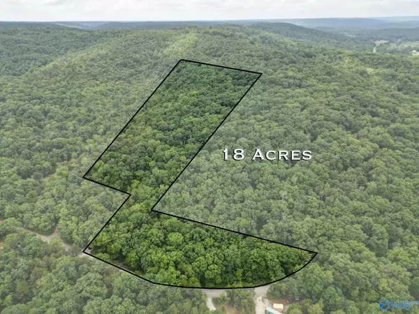 Moulton, AL 35650,18 Acres County Road 99