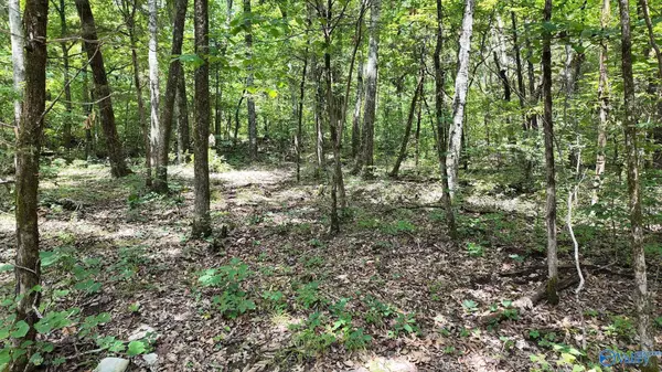 Moulton, AL 35650,18 Acres County Road 99