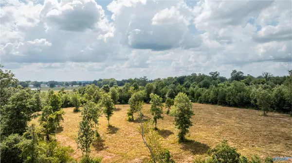 Flat Rock, AL 35966,1191 County Road 326