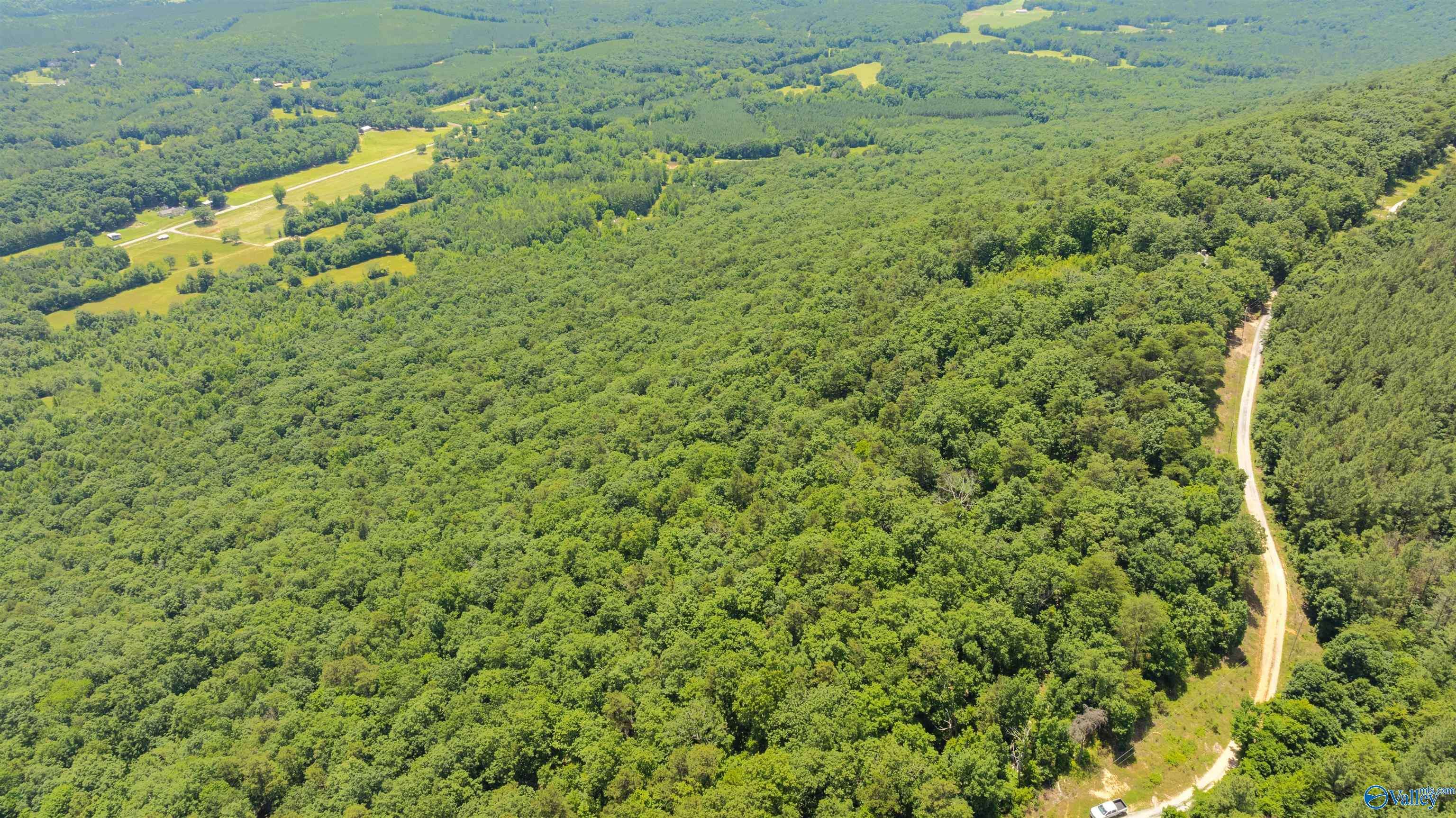 Gaylesville, AL 35973,405 County Road 865