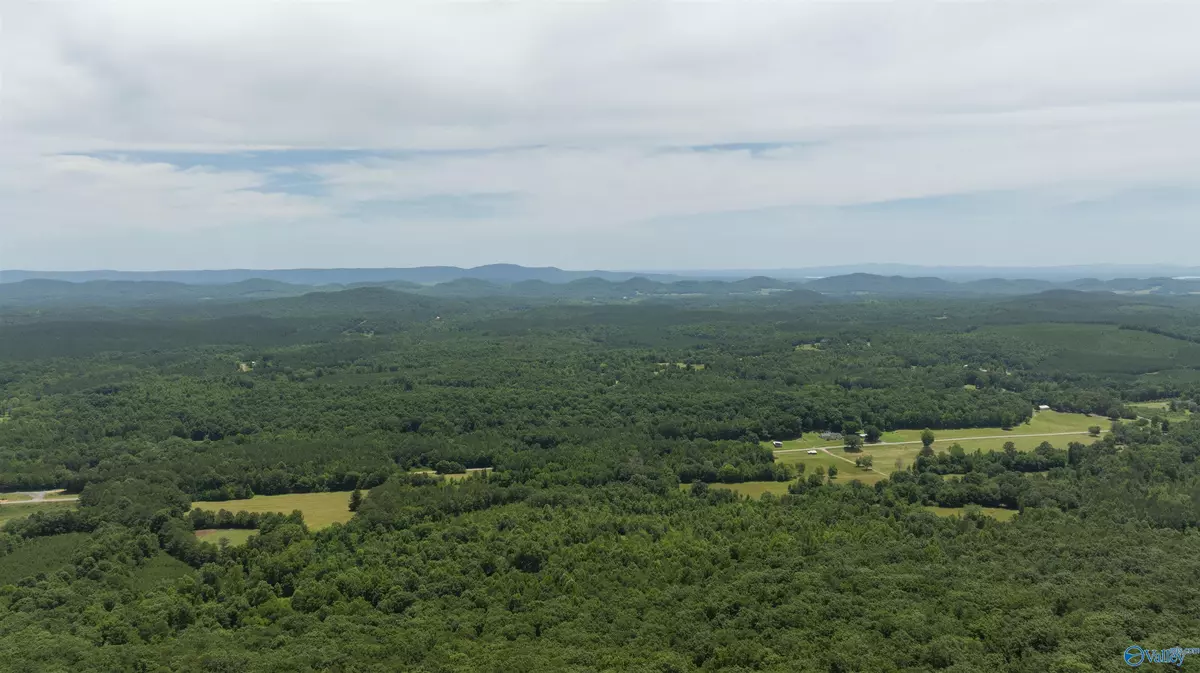 Gaylesville, AL 35973,495 County Road 865