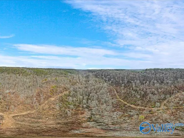 130 acres Wyeth Drive, Guntersville, AL 35976