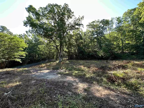 Gadsden, AL 35901,101 Oak Place