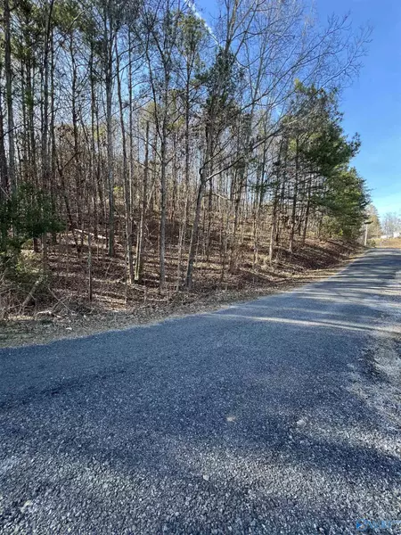 Lot 24 County Road 592, Leesburg, AL 35983