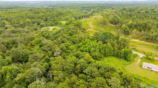 Flat Rock, AL 35966,4 acre County Road 81