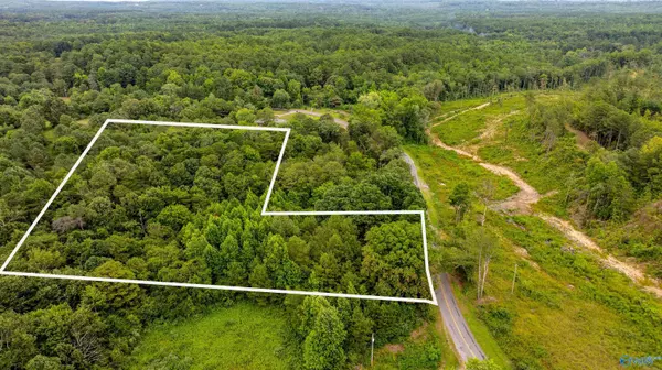 Flat Rock, AL 35966,4 acre County Road 81