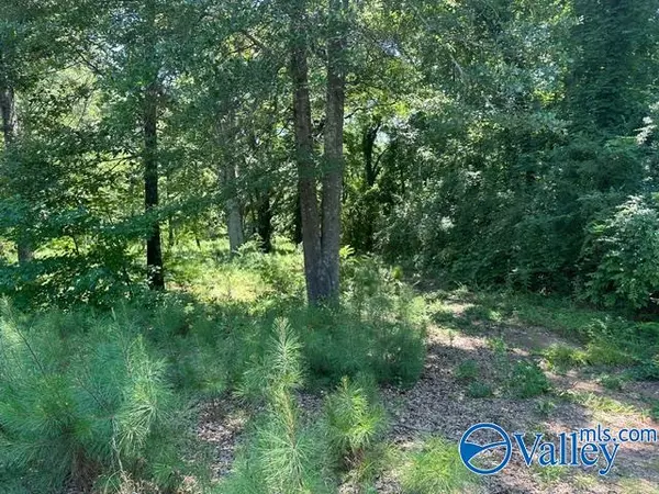 Southside, AL 35907,7.10 acres Riverview Drive