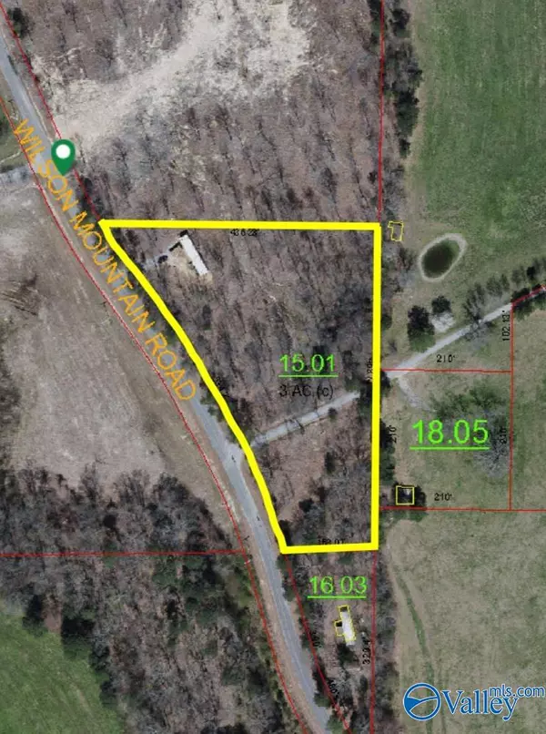 1038 Wilson Mountain Road, Falkville, AL 35622