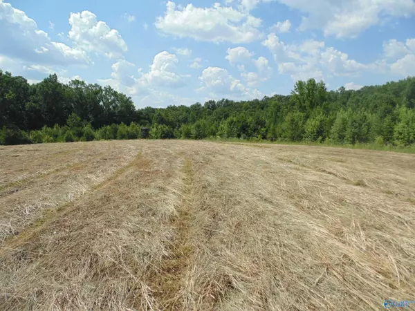 Eva, AL 35621,129 Bennett Street