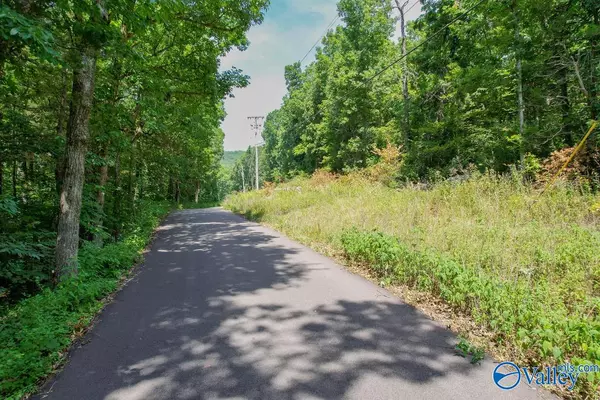 Huntsville, AL 35810,20 Acres Juniper Drive