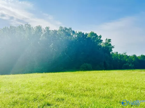 Haleyville, AL 35565,56 Acres Al Hwy 69