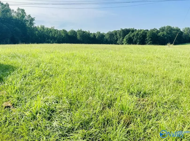 56 Acres Al Hwy 69, Haleyville, AL 35565