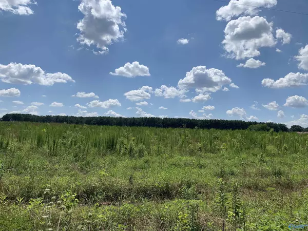 Fort Payne, AL 35968,3 County Road 508