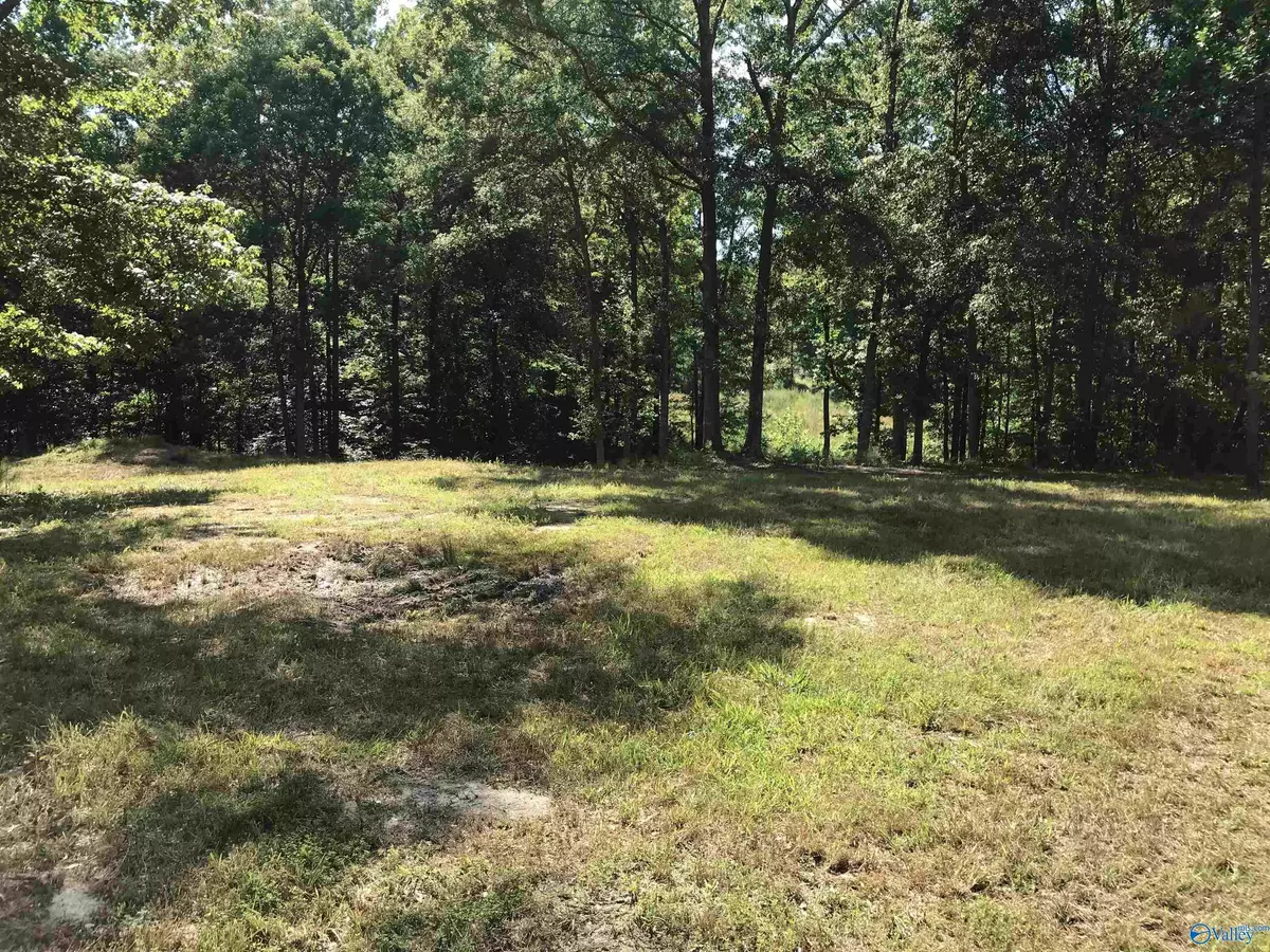 Southside, AL 35907,Lot 6 Cheyenne Drive