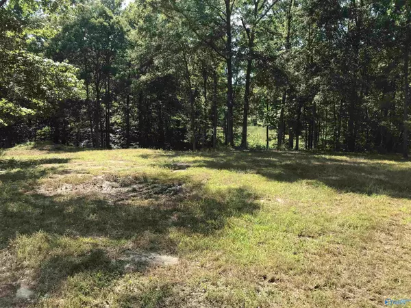 Lot 6 Cheyenne Drive, Southside, AL 35907