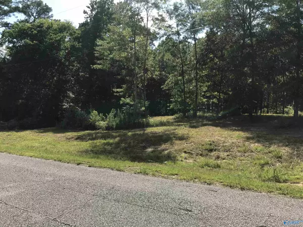 Southside, AL 35907,Lot 6 Cheyenne Drive