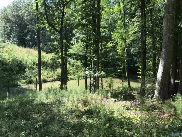 Southside, AL 35907,Lot 6 Cheyenne Drive