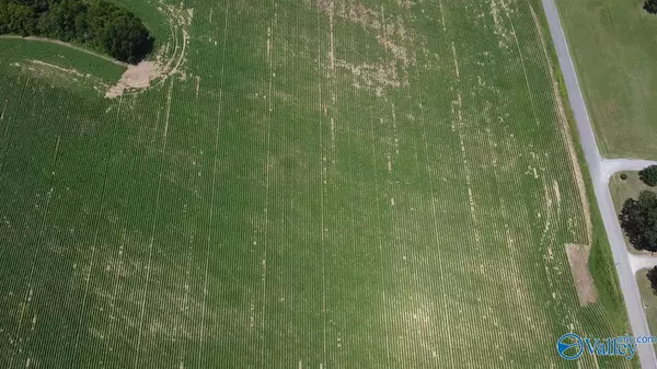 Section, AL 35771,Lot 11 County Road 68