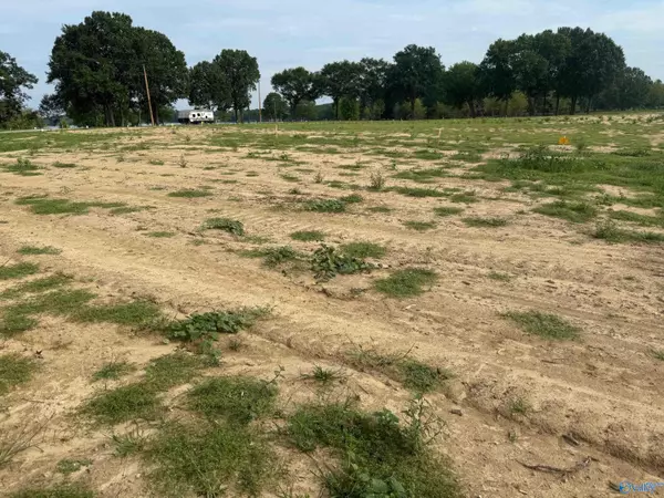 Cedar Bluff, AL 35959,78 County Road 115