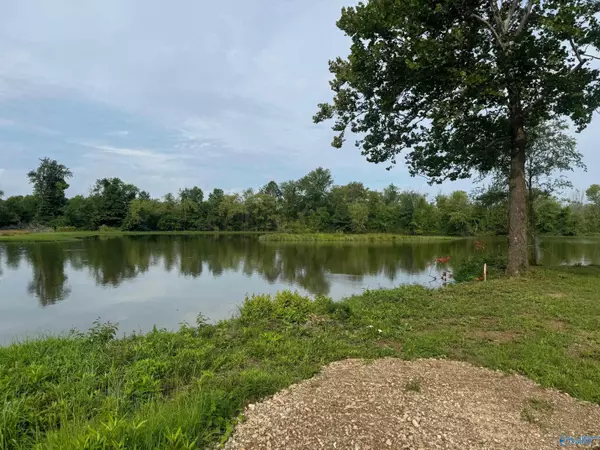 Cedar Bluff, AL 35959,55 County Road 115