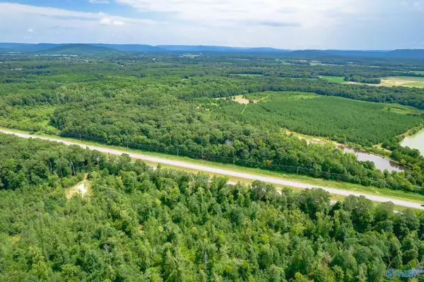 New Hope, AL 35760,3.6 acres Highway 431 South S