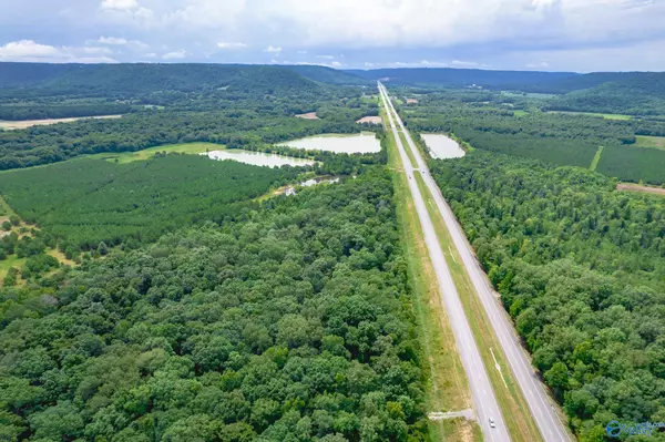 New Hope, AL 35760,3.6 acres Highway 431 South S