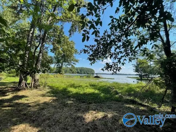 Cedar Bluff, AL 35959,Lot 9 County Road 600