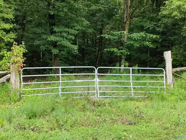 Falkville, AL 35622,1831 Highway 157