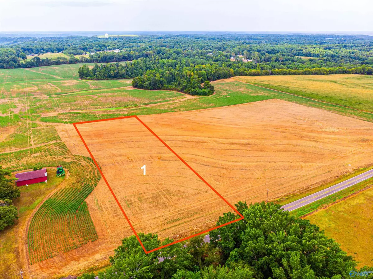 Lester, AL 35647,Tract 1 Salem Minor Hill Road