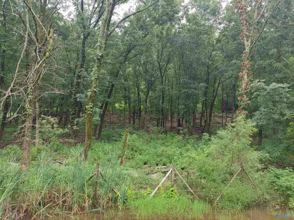 Falkville, AL 35622,3.9 Acres W Lacon Road