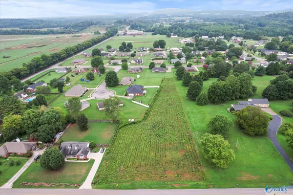 Harvest, AL 35749,229 Kelly Spring Road