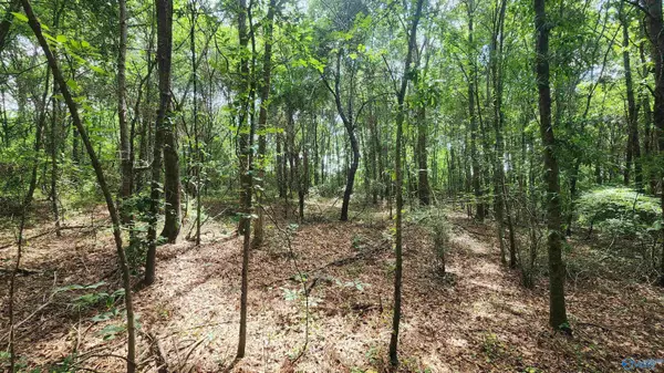 Albertville, AL 35951,1114 Davis Road