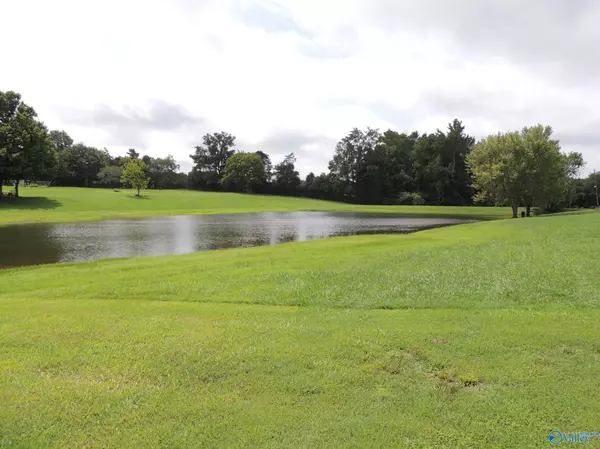 Elkmont, AL 35620,boldin Upper Fort Hampton Road