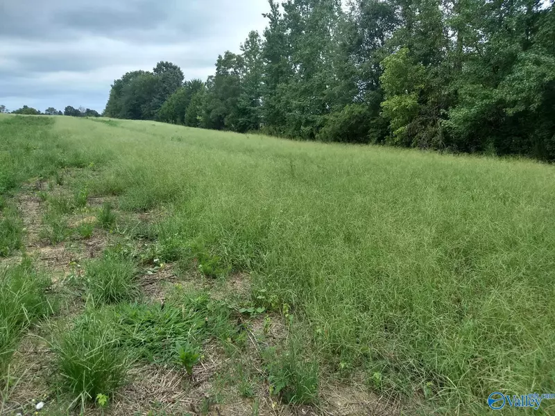 7.69 acres Charity Lane, Toney, AL 35773